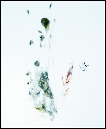 sudden_death_10